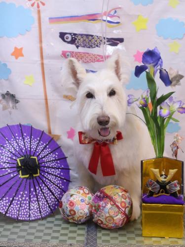 20240505ムーミンくん